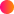 Future Trading AI